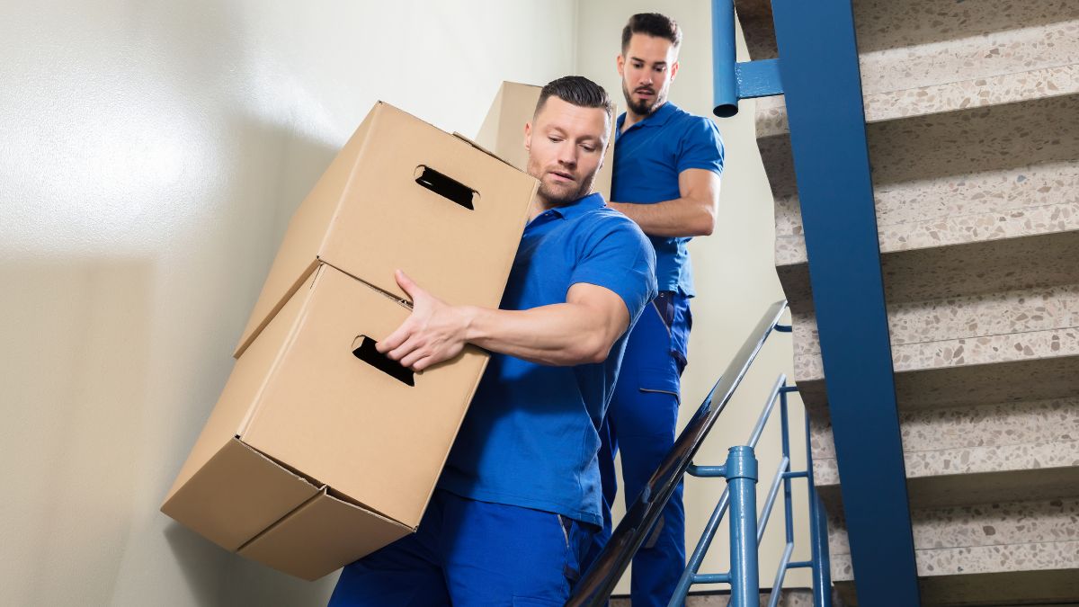 The Essential Guide to Professional Moving and Packing Services