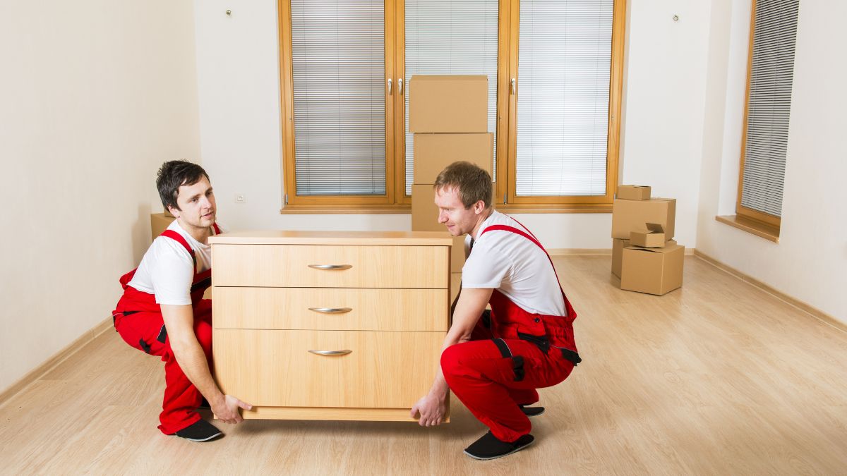 Movers and Packers NJ: Your Complete Relocation Solution with Tera Moving